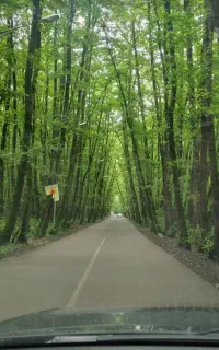 راهنمایی