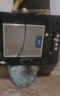 1عدد هودلمسی