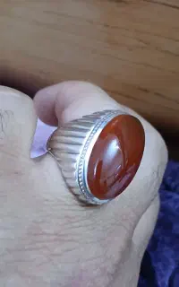 فدیوم مهدی جدی
