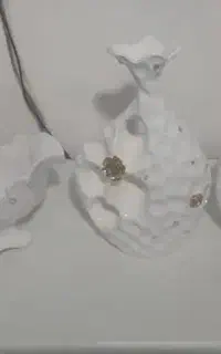 ظروف پذیرایی تزعیینی