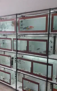 دنیای زیر اب