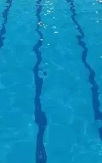 بلیط استخر
