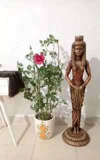 مجسمه و درختچه مصنویی