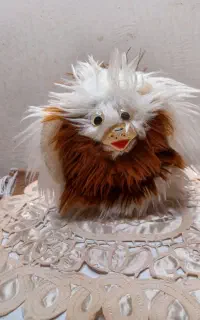 عروسک های مختلف