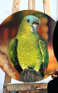 تابلو نقاشی طوطی