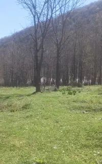 تور یک روزه.  قلعه رودخان