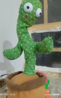 کاکتوس