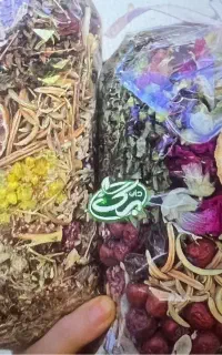 ویزیتور میدانی