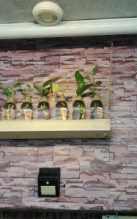 همکار جهت انجام کار