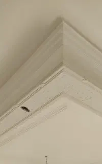 شاگرد بردست گچکاری