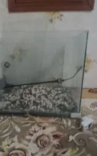 شیشه اکواریوم