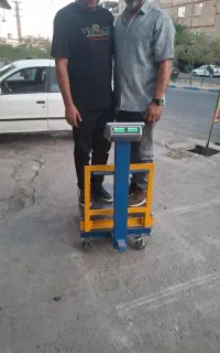 ترازو دیجیتال. باسکول دیجیتال