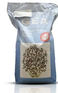 بذر یونجه ذرت سورگوم سبزی انواع گل