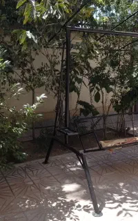 تاب باغی