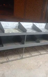 طبقه میوه وابزار