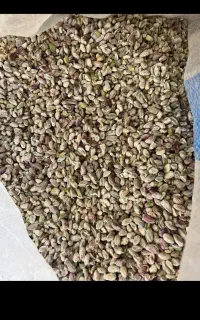 خریدار پوست پسته و مغز۲ و روابی وخاک پسته