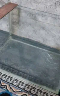 آکواریوم