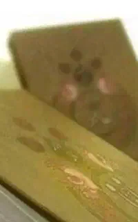 حافظ و فالنامه و یافتن حقیقت