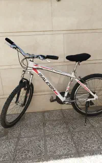 دوچرخه 26حرفه‌ای