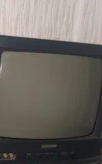 تلویزیون