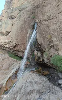 تور گردشگری سفر برای زندگی