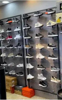 رگال توری (فنس)