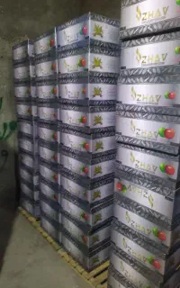 مشاوره امور کارت بآزرگانی و ترخیص