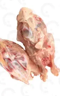 اسکلت مرغ گوشتی زیر قیمت هروز