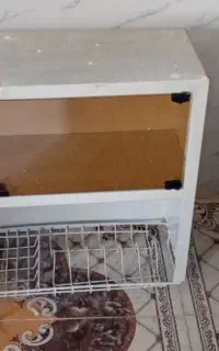 ابچکان