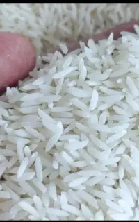برنج هاشمی خالص اعلای رشت
