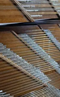 سنتور چوب گردو با ده سال ضمانت