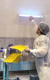 خدمات تخصص سمپاشی حشرات سوسک رتیل عقرب جوندگان موش