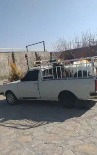 سمپاشی باغ باغچه حیاط گل گیاه
