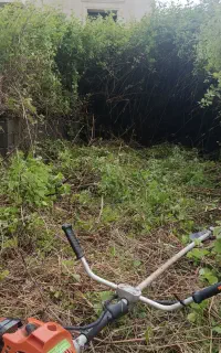 علف تراشی وحرص