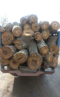 خریدار چوب