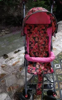 کالسکه عصایی