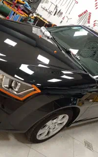 شاگرد وارد یا استادکار نقاش