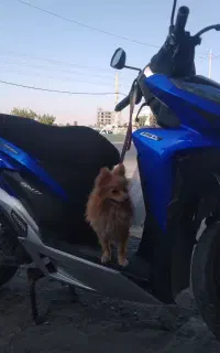 کلیک۱۵۰ بسیار سالم بدون ایراد