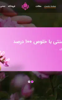 طراحی سایت با پایتون و وردپرس