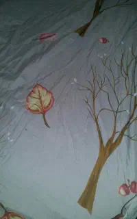 روتختی پارچه ای سالم