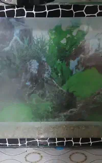 دوتا آکواریوم با کل وسایل