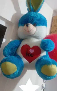 عروسک پولیشی درحدنو