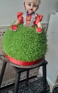 سبزه‌عروس