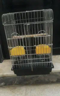 قفس کاسکو  مینا طوطی