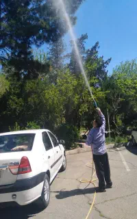 سم پاشی علف زنی کاشت گل و گیاه شمشادزنی
