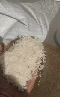 پخش عمده برنج