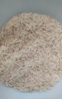 برنج طارم