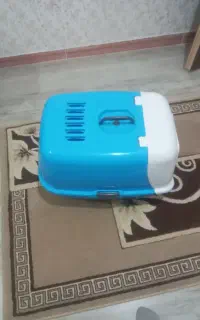 جای خواب گربه