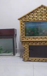 آکواریوم ماهی