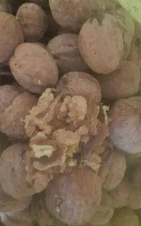 گردو خشک